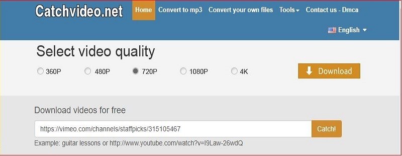 catchvideo net url downloader