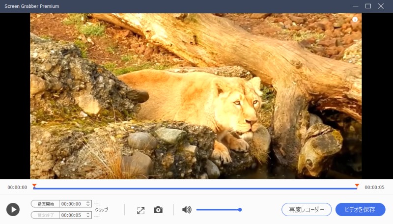 sgpremium play 4k step4