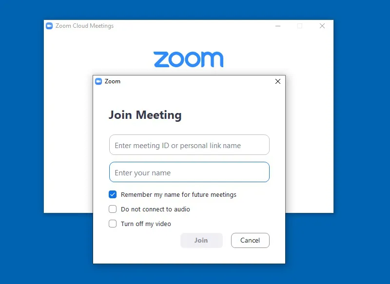 videoconference zoom interface