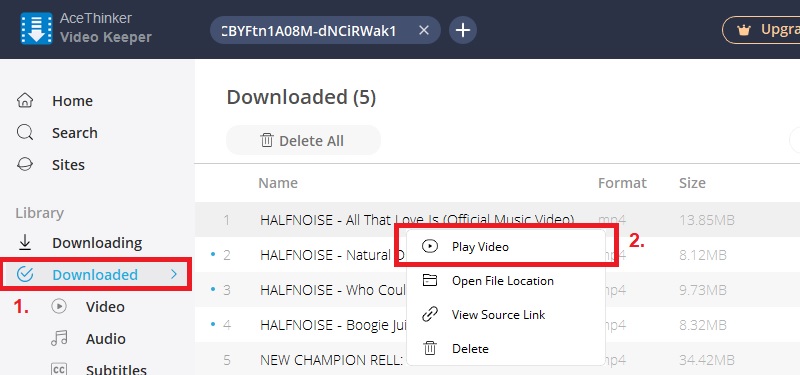 download youtube playlist vk step3