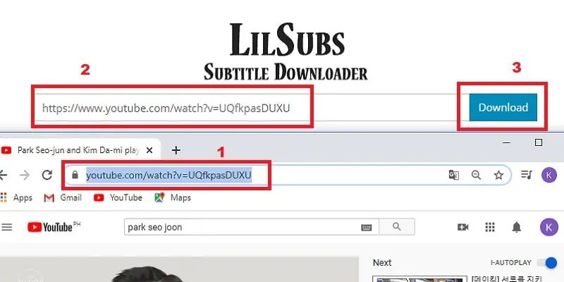 lilsubs copy step2