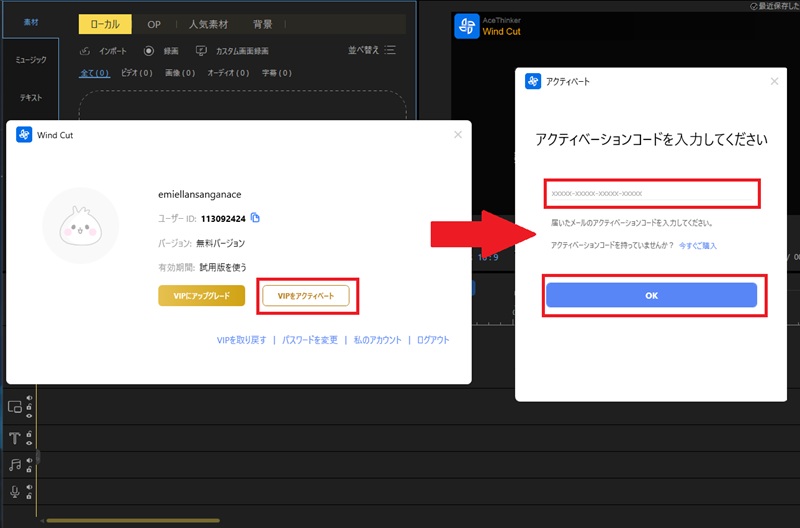 VIPアカウントを有効化