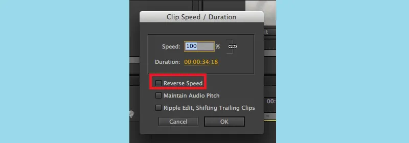 reverse video using adobe premiere