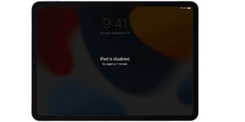 reasons to avoid guessing the forgotten passcode