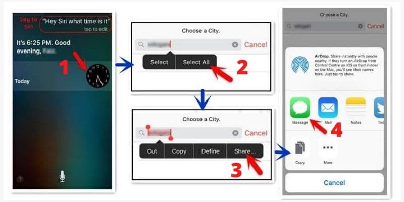 reset ipad without password using siri