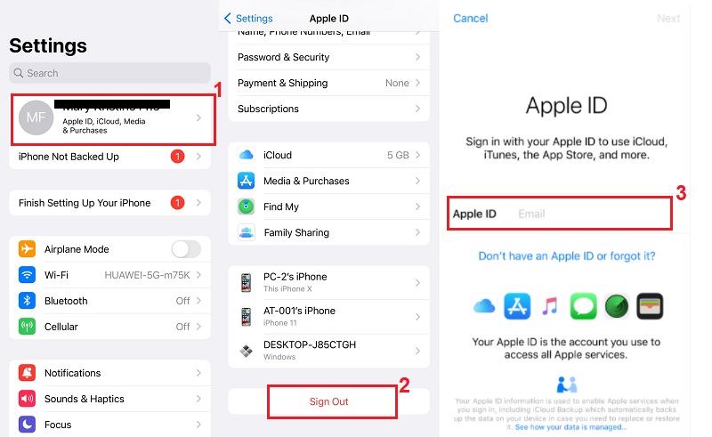 sign out of apple id from the settings