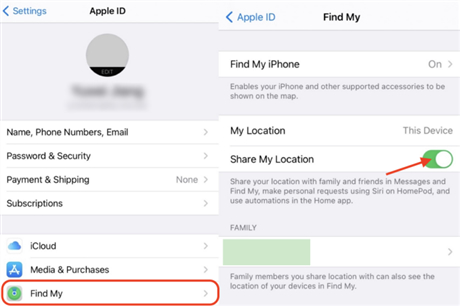 toggle the gps off to remove location sharing
