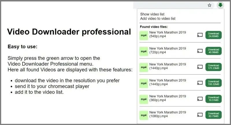 video downloader professional as a vimeo downloader