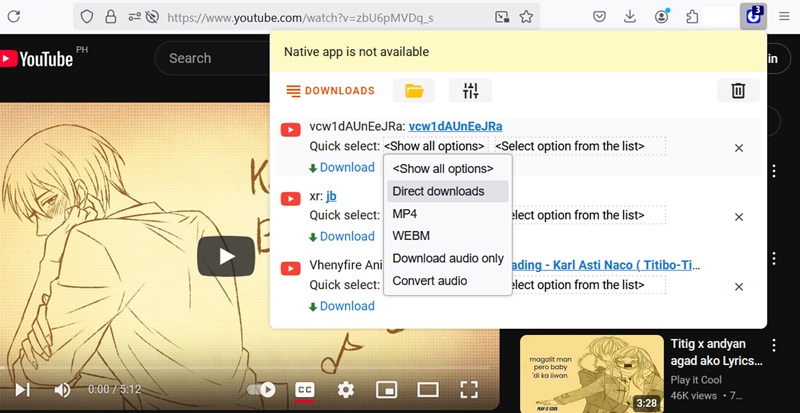 ant video downloader