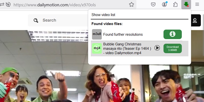 video downloader professional