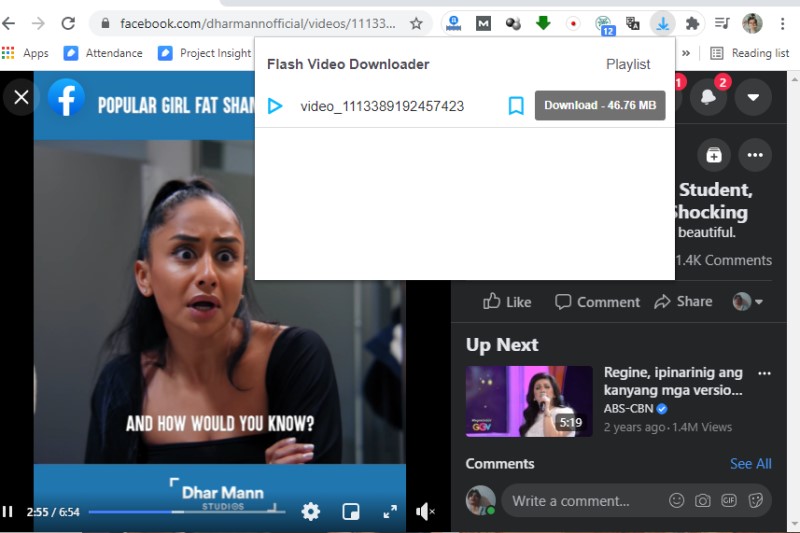 video downloadhelper alternative flash video download